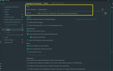 android studio flutter run configuration.